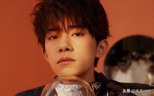 娱乐吃瓜杨洋视频大全,笑料百出，精彩纷呈